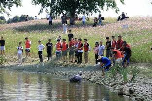 吃瓜捕鱼神器,轻松捕鱼，尽享乐趣