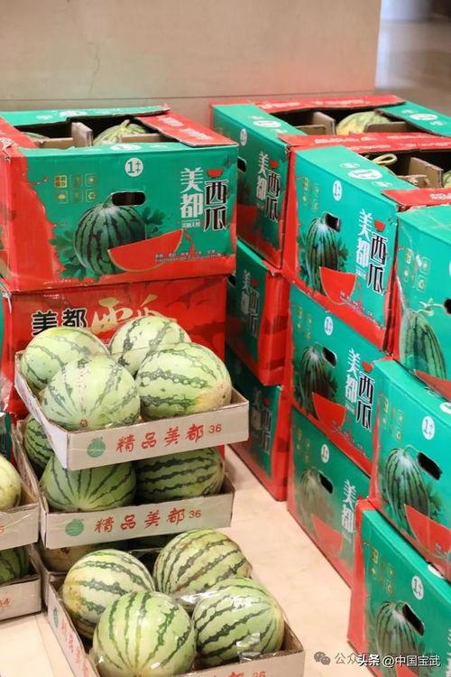 泗阳吃瓜事件,一场网络舆论的风暴与反思