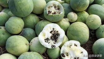 卖瓜子吃瓜,卖瓜子吃瓜的趣味生活