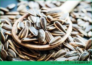 卖瓜子吃瓜,卖瓜子吃瓜的趣味生活