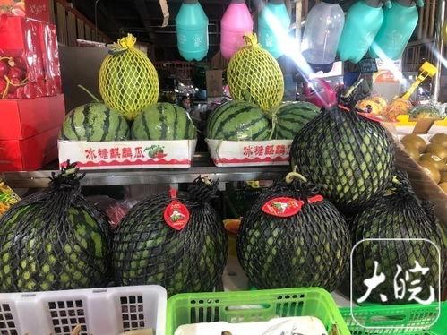 合肥舞蹈圈吃瓜,揭秘幕后“吃瓜”大事件