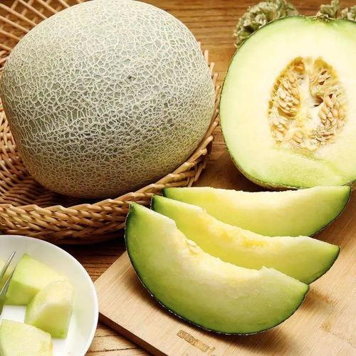 海南蜜瓜可以吃吗,美味与健康的完美结合