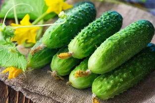 减肥吃瓜行吗,吃瓜真的可行吗？揭秘瓜类食物的减肥奥秘