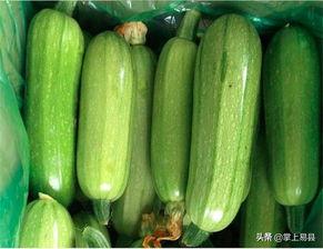 荀瓜调着吃,品味生活新篇章