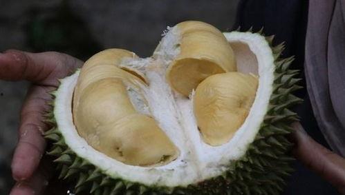 吃榴莲再吃哈密瓜,口感碰撞之旅