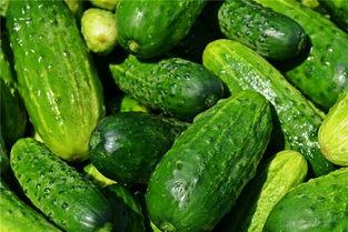 梦思吃瓜,揭秘娱乐圈那些不为人知的幕后故事