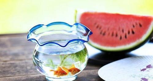 带你吃瓜黑暗甜品,揭秘带你吃瓜背后的黑暗甜品世界