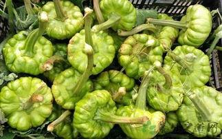 姜吃姜瓜,探寻传统美食的独特魅力