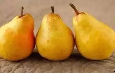 姜吃姜瓜,探寻传统美食的独特魅力