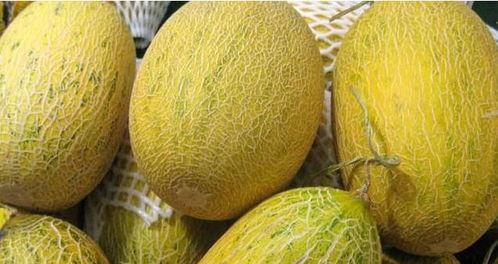 肝炎吃哈密瓜,肝炎患者食用哈密瓜的益处与注意事项