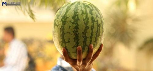 网友们吃瓜,揭秘娱乐圈最新热点事件