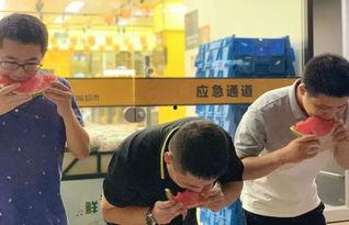 《吃瓜群众》比赛,一场全民参与的趣味盛宴