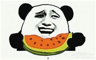 虎园吃瓜群众事件,围观者的意外遭遇与反思