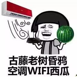 没事瞎逛吃瓜,品味人间烟火——瞎吃瓜的美食之旅
