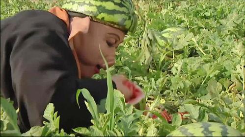 晓燕老师吃瓜,揭秘娱乐圈幕后故事