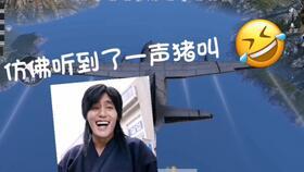 爱转角吃瓜视角,揭秘娱乐圈的瓜田秘闻