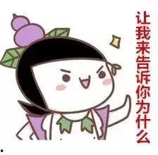 吃葫芦瓜文案短句,清爽滋味，尽在这一夏