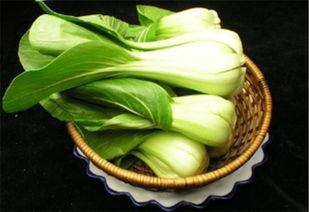 春吃茭瓜好吗,养生佳品，健康生活新选择