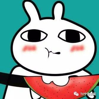 吃瓜群众zw,揭秘娱乐圈背后的那些事儿