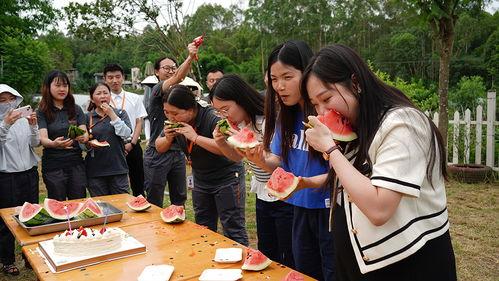 组织员工吃瓜大赛,组织员工吃瓜大赛盛况回顾