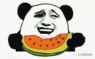 瓜瓜吃瓜故事鉴赏人物,揭秘故事中的个性魅力