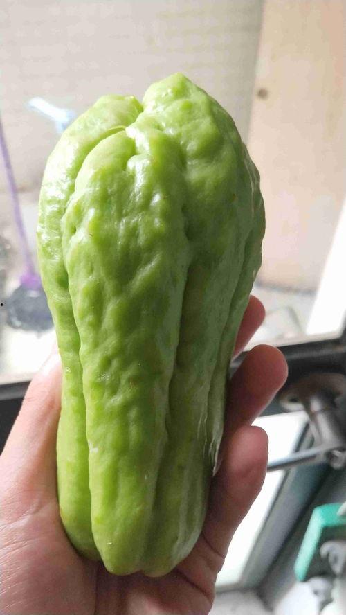 老西湖瓜怎么吃,解锁夏日清新美味