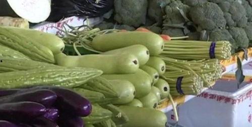 赤瓜是苦的吗怎么吃,揭秘赤瓜的正确食用方法