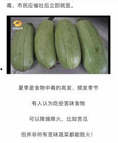 赤瓜是苦的吗怎么吃,揭秘赤瓜的正确食用方法