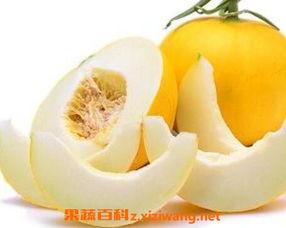 吃伊丽莎白瓜胖吗