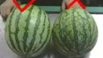 吃瓜岛屿,探寻神秘美食天堂的传奇故事