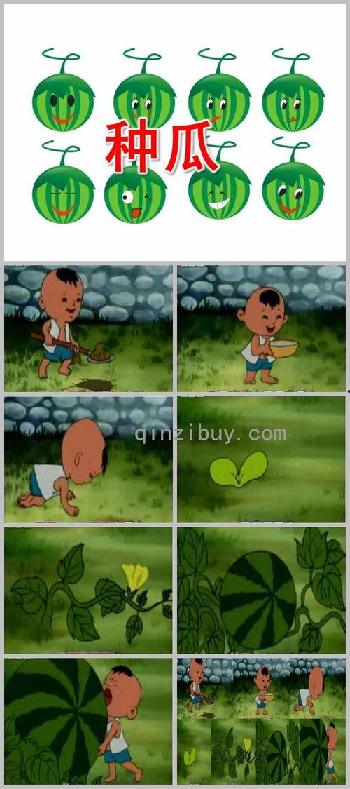 小班瓜瓜吃瓜ppt,趣味PPT展示