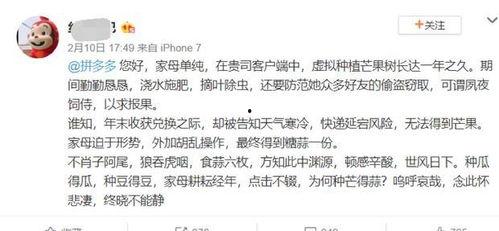 坐等吃瓜古文,古风中的闲适生活态度