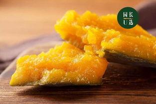 新疆丑瓜 怎么吃,解锁美味新体验