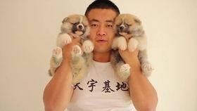 不明真相吃瓜美军,揭秘美军“不明真相吃瓜群众”现象背后的真相