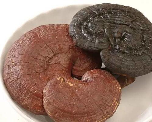 吃凉瓜可以吃灵芝吗,健康饮食的完美搭配