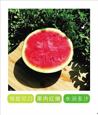 吃瓜战疫,全民抗疫中的趣味与温情