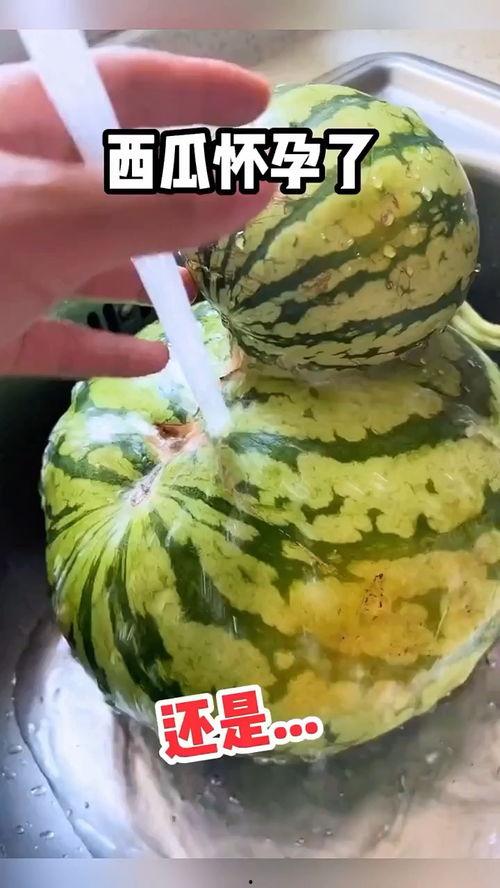 搞笑北明吃瓜,笑料连连，带你领略搞笑界的欢乐盛宴！