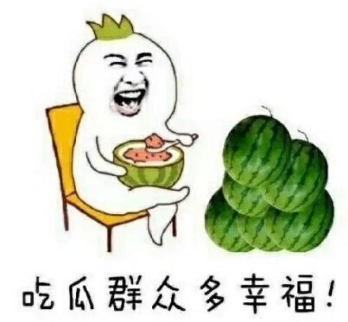 富圈吃瓜故事,一场吃瓜盛宴背后的故事