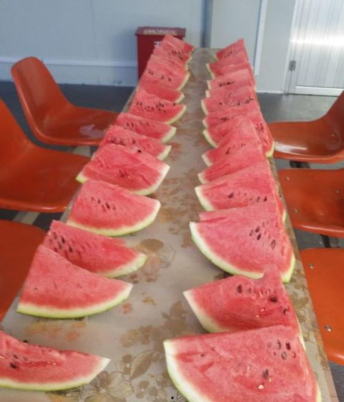 吃瓜大咖馆,品味潮流美食的时尚聚集地