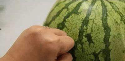 吃莴瓜仔会过敏,小心美味背后的风险