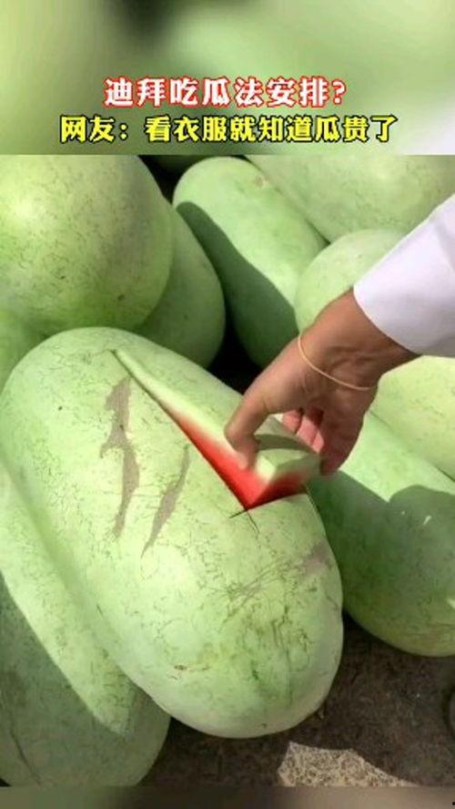 吃瓜衣,揭秘“吃瓜衣”背后的美食传奇