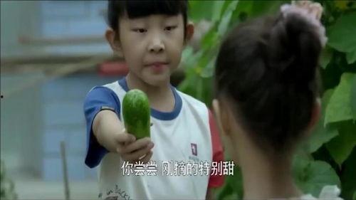 农村娃吃瓜的样子,农村娃的吃瓜时光