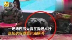 国内吃瓜现场视频,一场全民参与的视觉盛宴