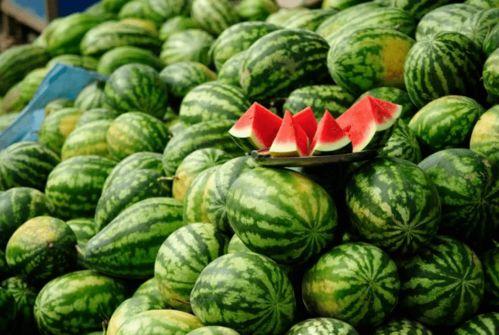 绍兴吃瓜大赛详情