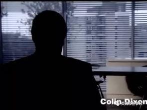 德州吃瓜群众案件,揭秘网络谣言背后的真相