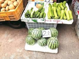 自由吃瓜基地 怎么加入,加入指南与体验分享