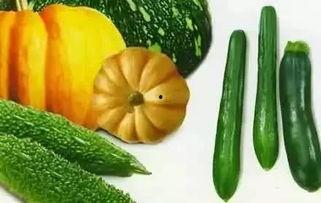 浅夏吃瓜,夏日消暑美食之旅