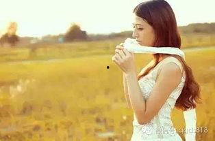 花儿姐妹吃瓜,一场欢乐的夏日盛宴