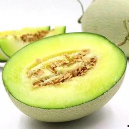 吃货吃蜜瓜,吃货的甜蜜诱惑之旅