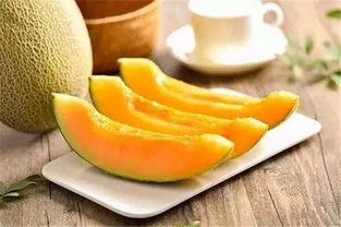 吃货吃蜜瓜,吃货的甜蜜诱惑之旅